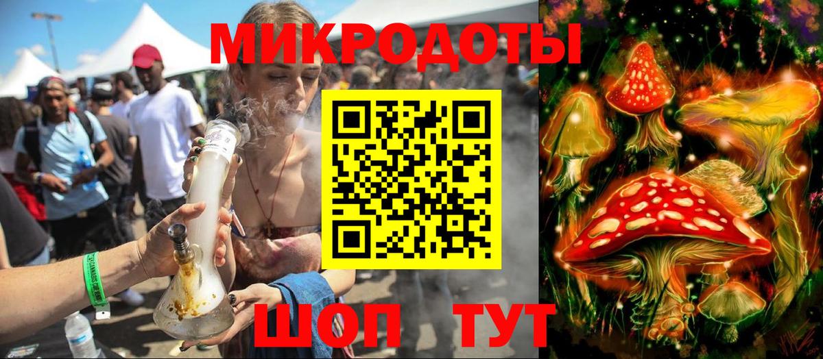 Галлюциногенные грибы Psilocybine cubensis Вологда