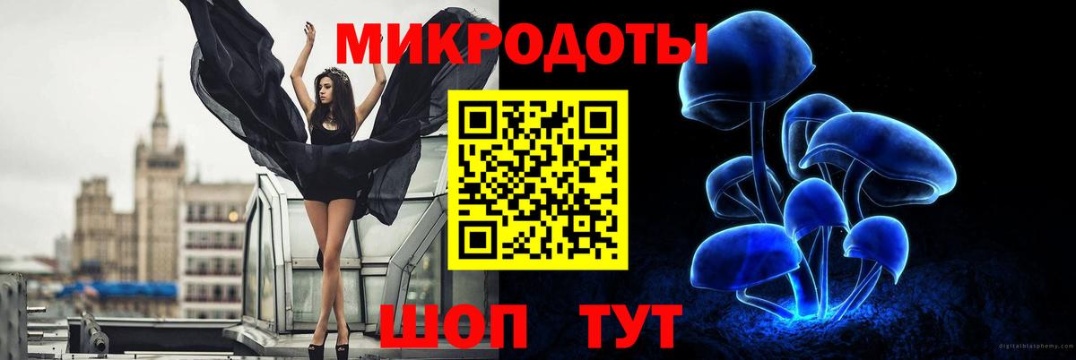 Псилоцибиновые грибы мицелий  Галлюциногенные грибы Psilocybine cubensis  Вологда  Вход с VPN 